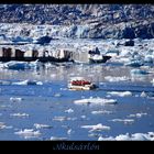 Nochmal Jökulsárlón