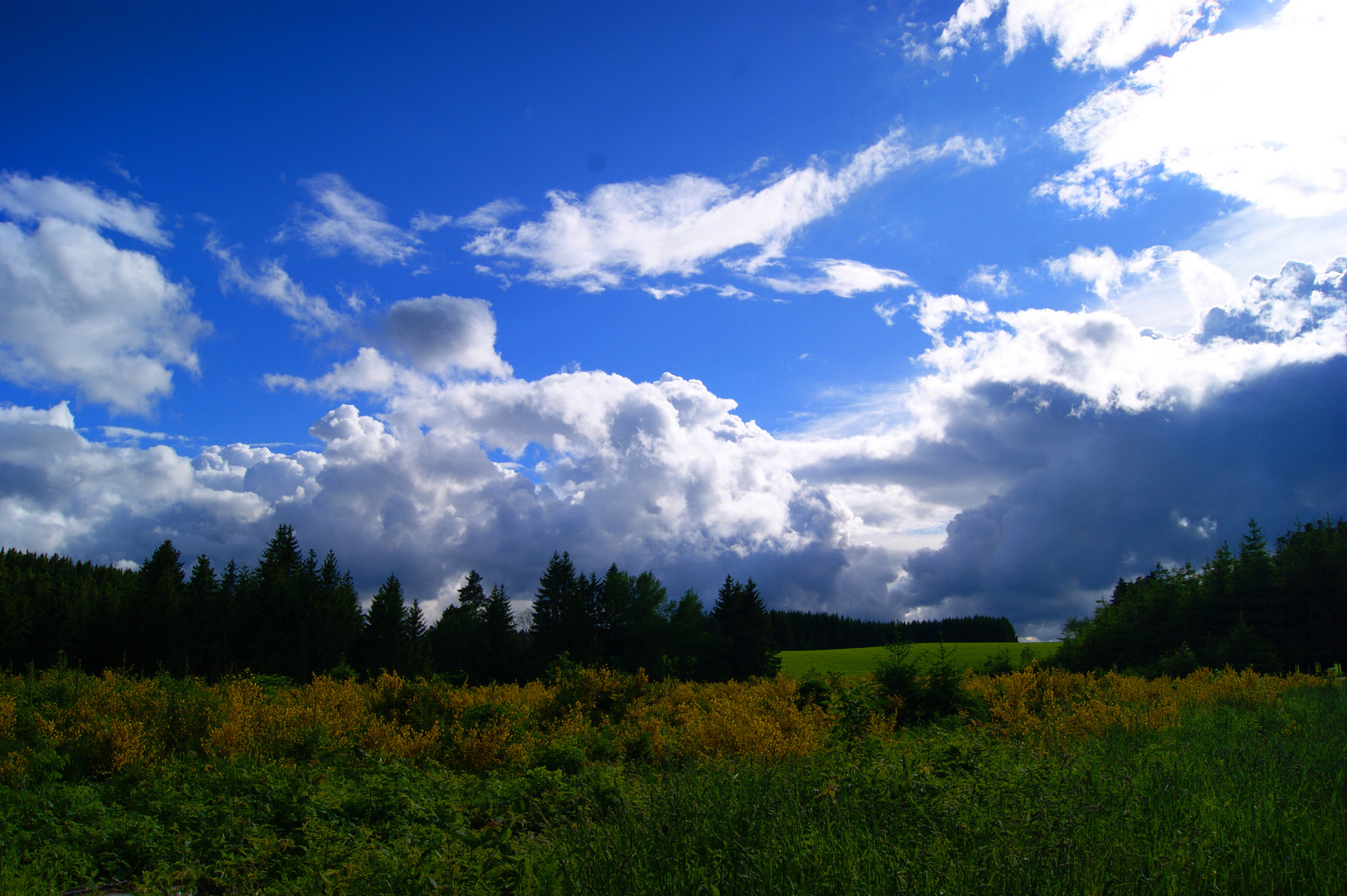 Nochmal kurz vorm Gewitter