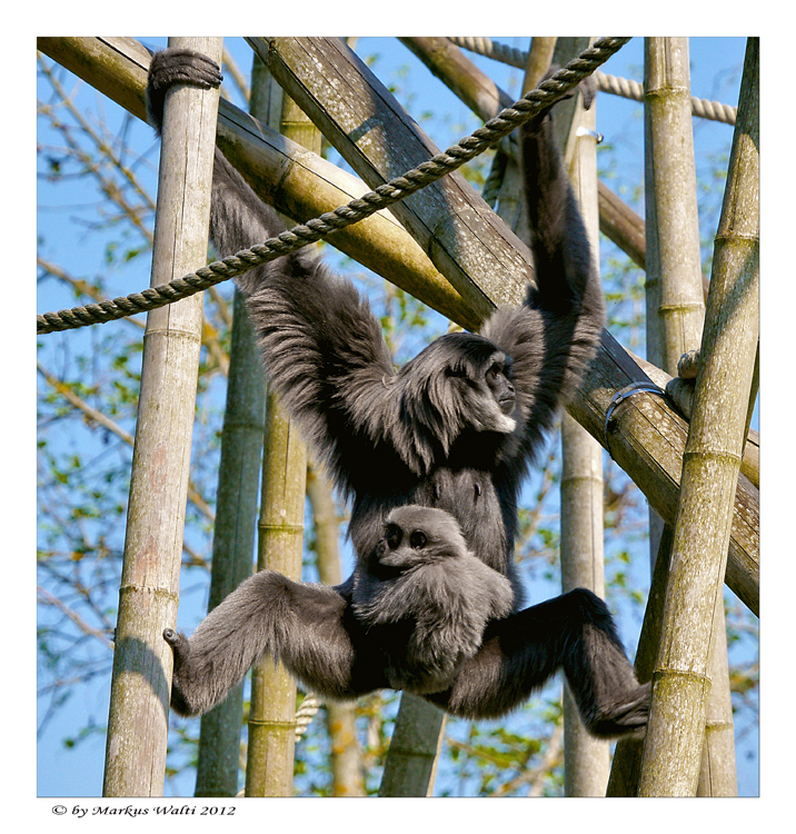 Nochmal Mama, das ist besser als Achterbahn!