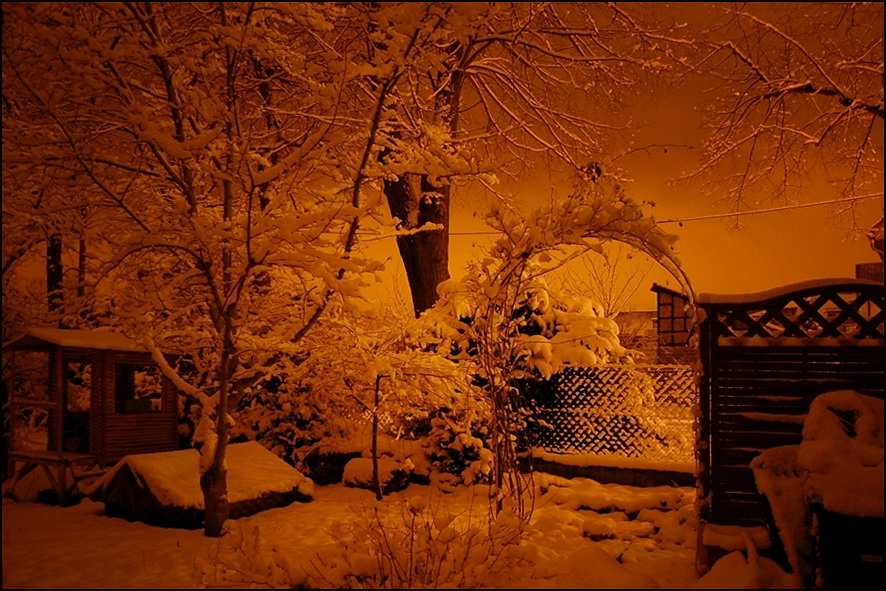 nochmal nachts im Garten