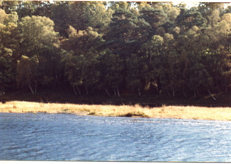 Nochmal River Ness