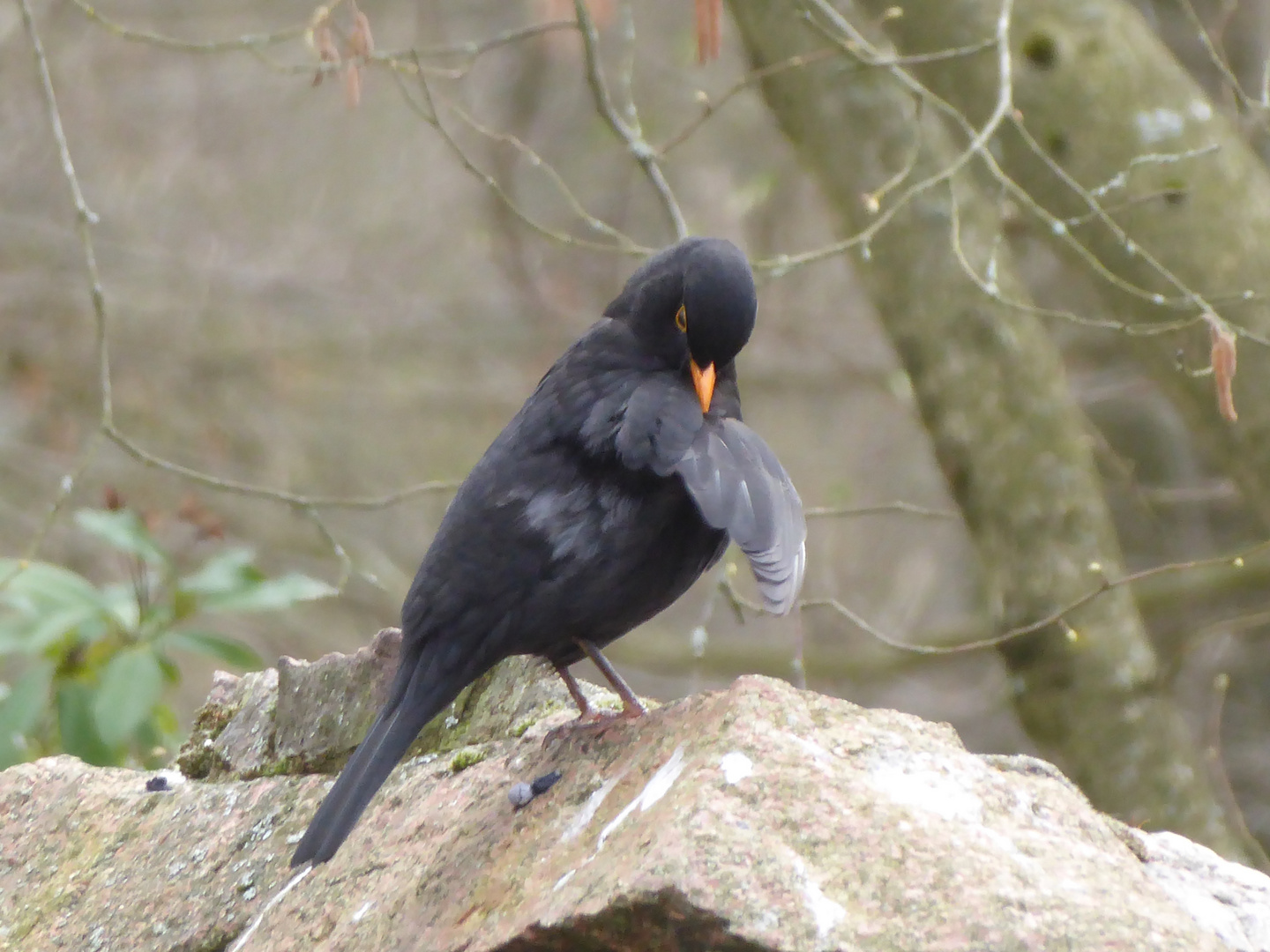 Nochmal schick machen für den Osterhasen