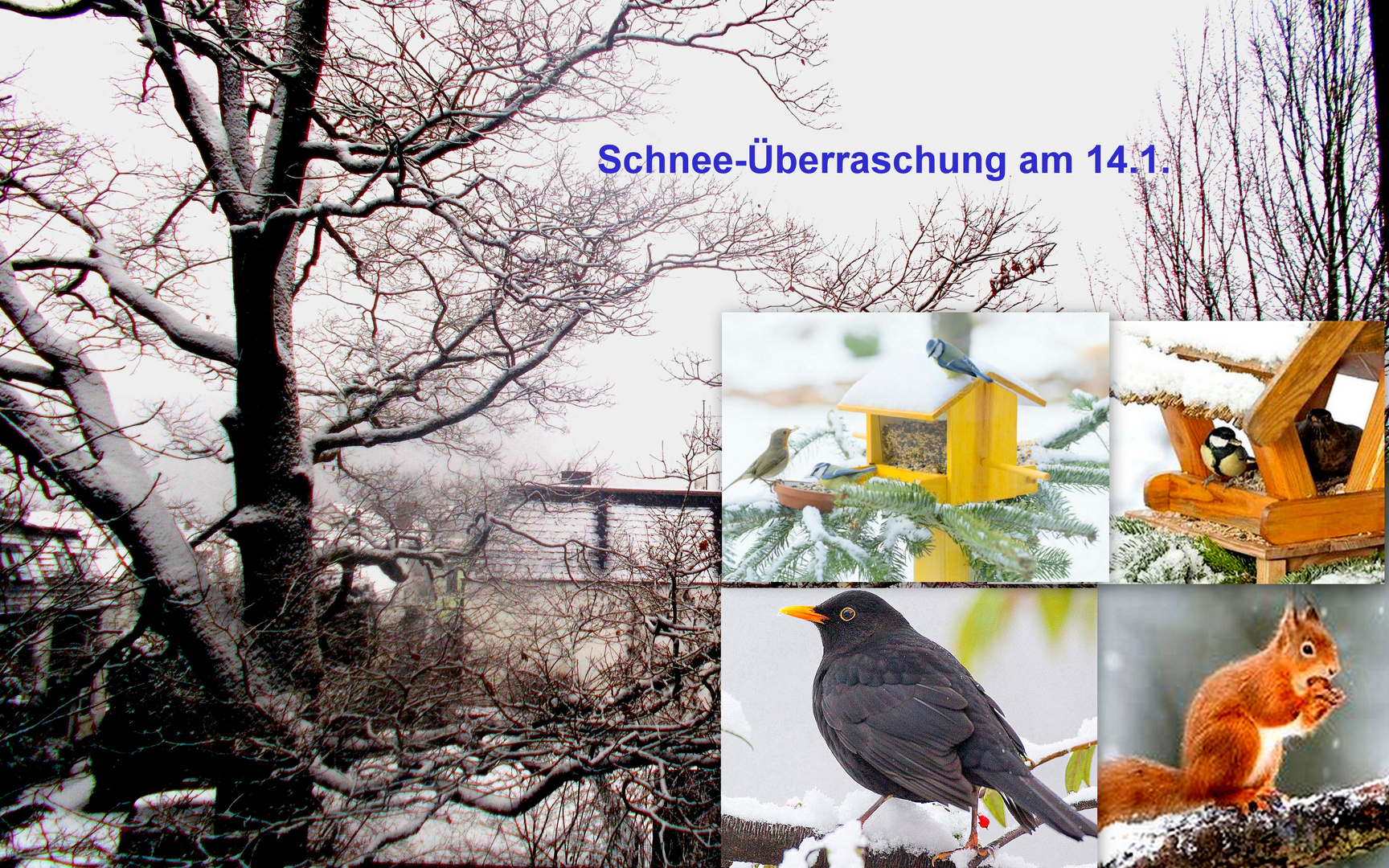 Nochmal Schnee :-(((