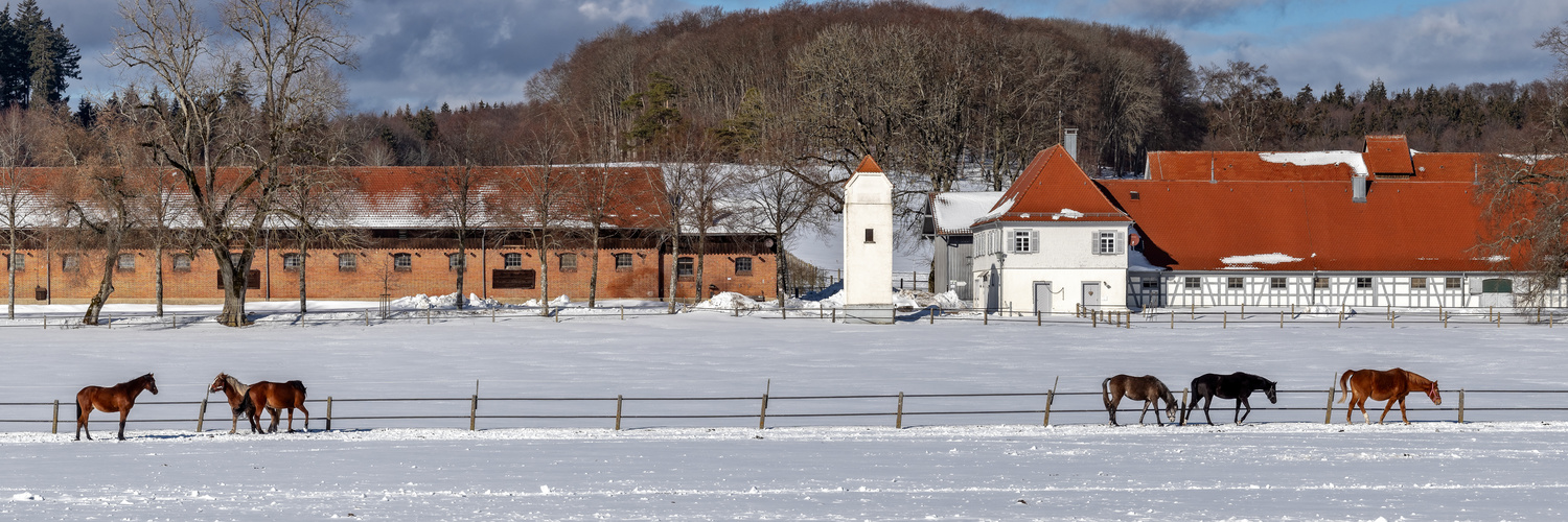 Nochmal Schnee ...