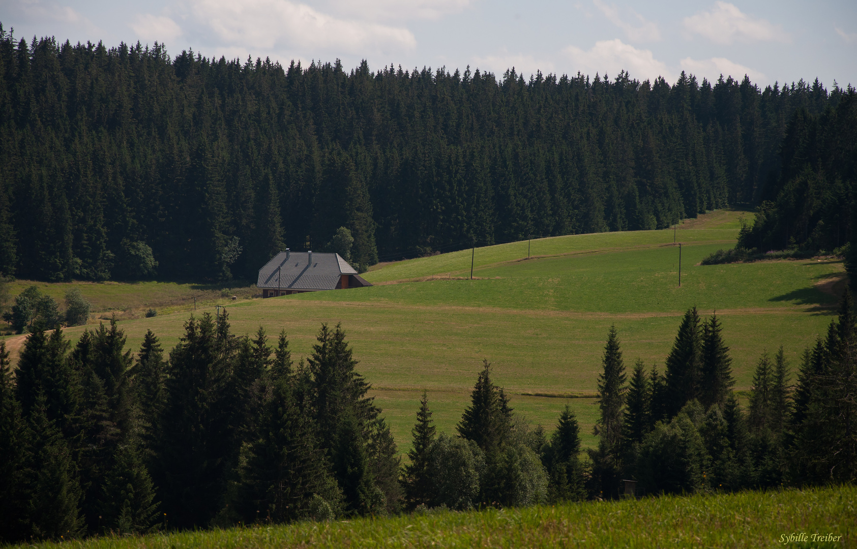 Nochmal Schwarzwald