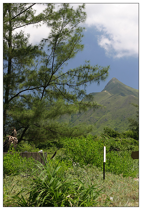 Nochmal Sharp Peak