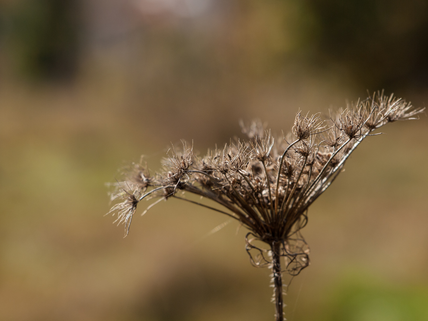 nochmal Sonne