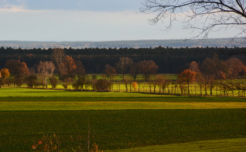 nochmal sonnig im November