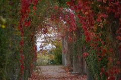 nochmal stuttgart herbst in schlossgarten