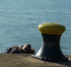 Nochmal vor Anker gehen, bevor der Winter kommt