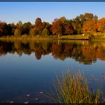 nochmal was herbstliches zum Februar