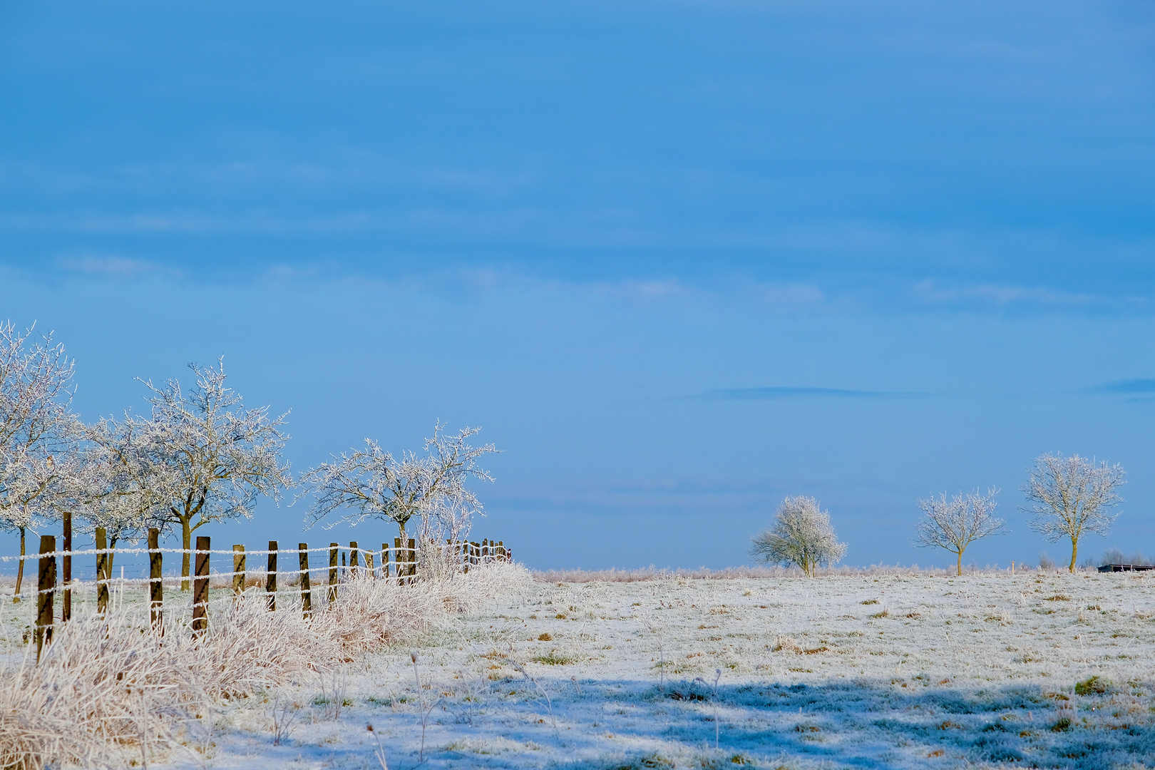 Nochmal Winter