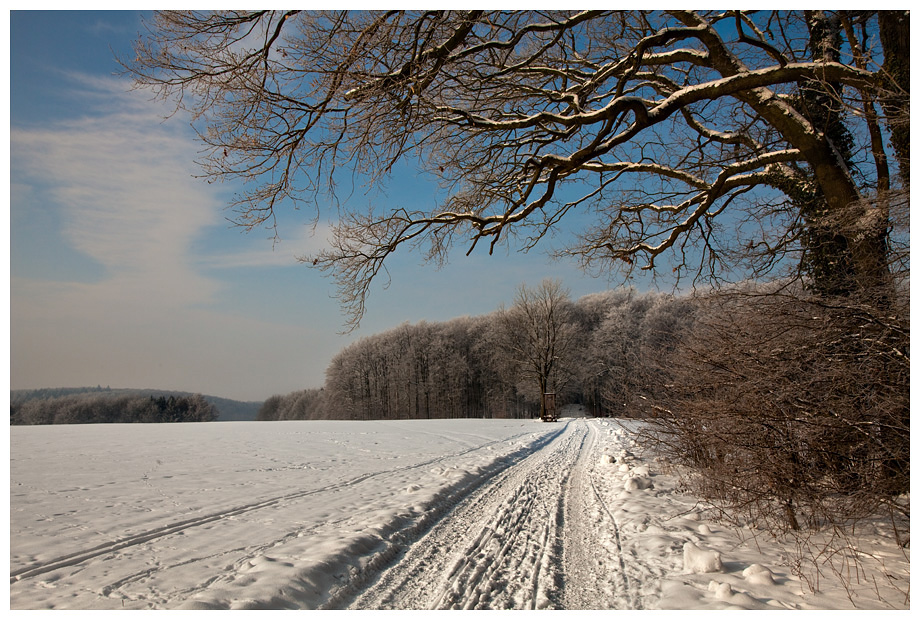 nochmal Winter