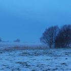 nochmal: winter in dithmarschen