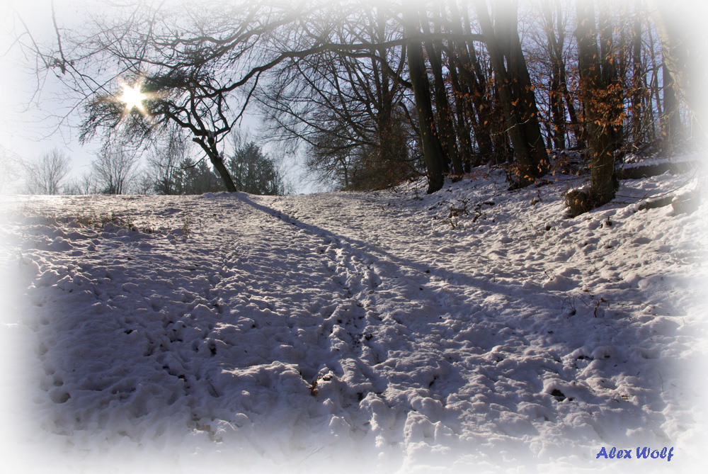 Nochmal Wintersonne