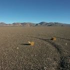 nochmals Atacama