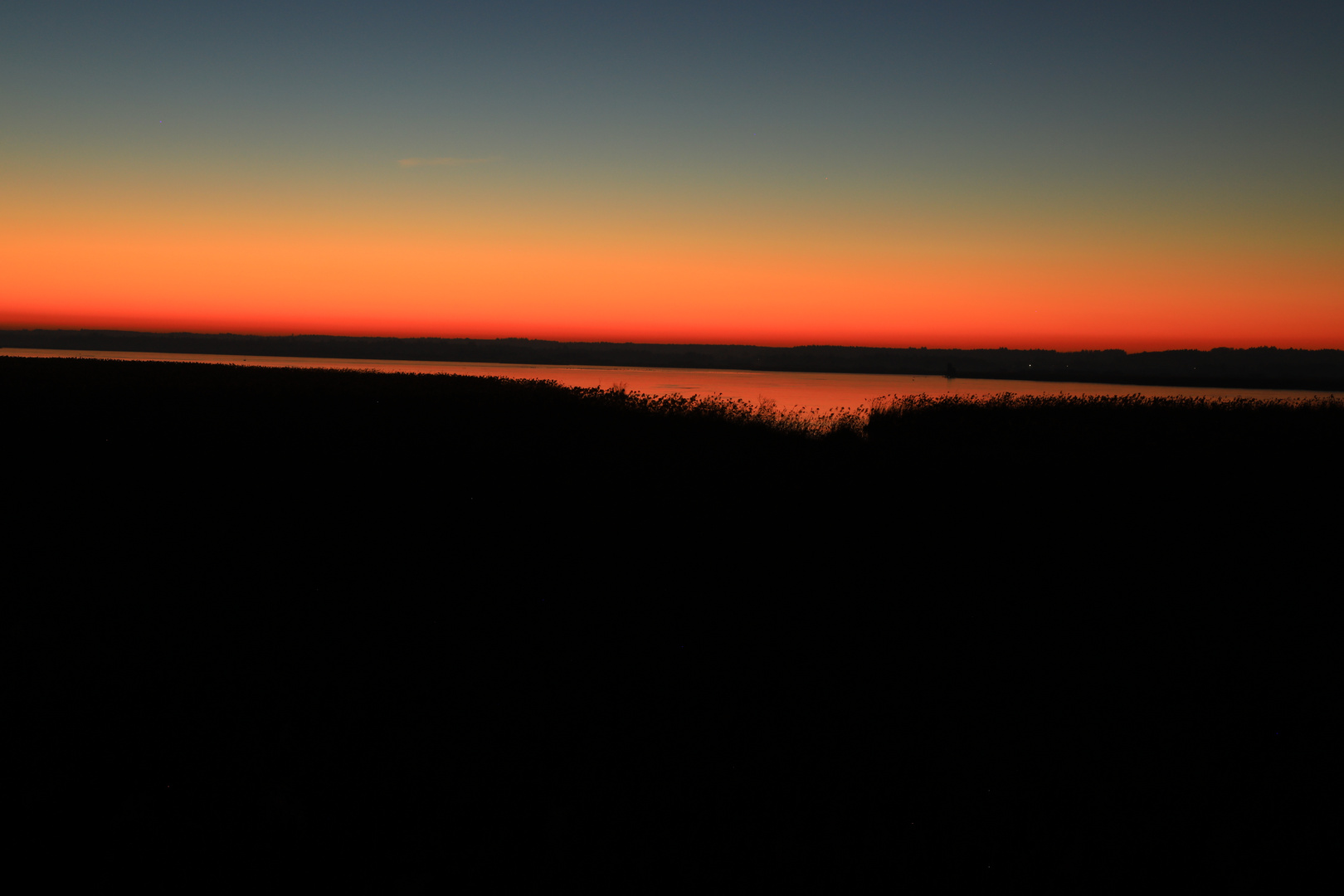 Nochmals der Federsee am 14.01.22