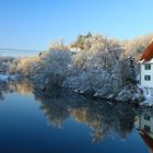 Nochmals die Donau in Scheer