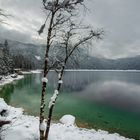 .... nochmals ein bisschen Winter am Eibsee....