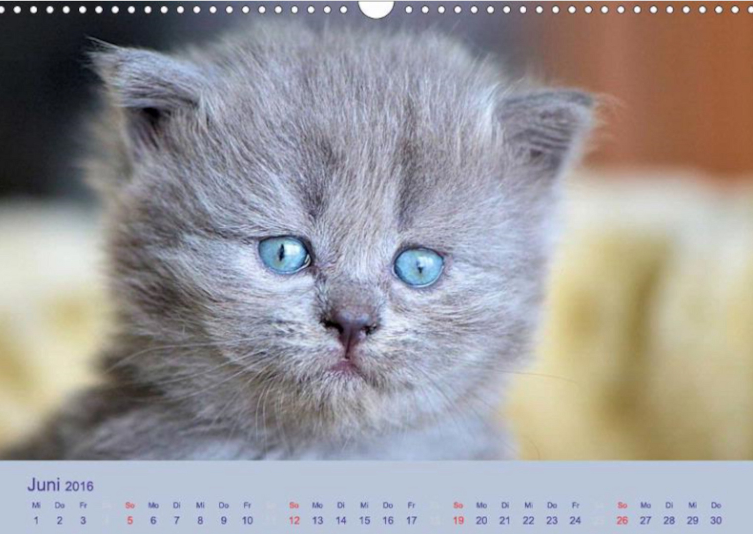 Nochmals eine Seite aus meinem Katzenkalender 2016