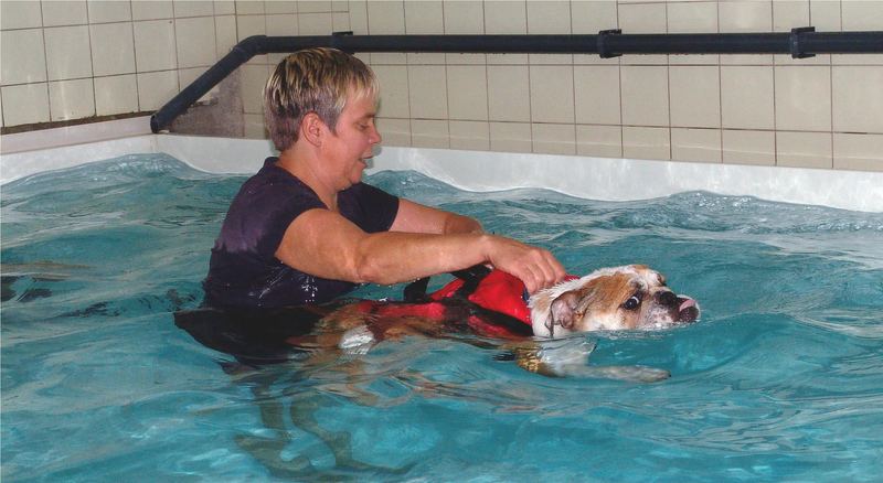 Nochmals Emma im Hundeschwimmbad