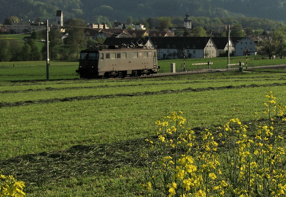 Nochmals Frühling