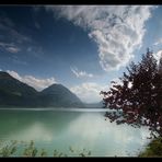 Nochmals Herbst am Sarnersee...