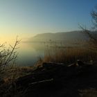 Nochmals Sonnenaufgang am Bodensee am Sonntagmorgen bei Ludwigshafen 