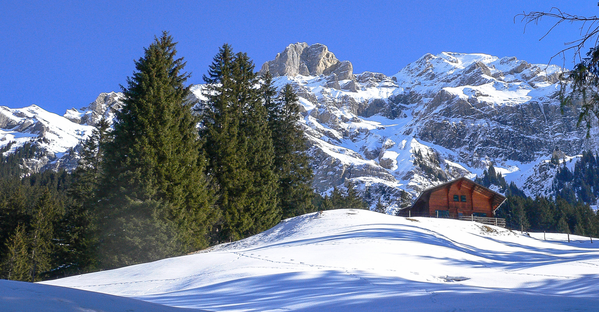 Nochmals Winter -in 9 Monaten wieder