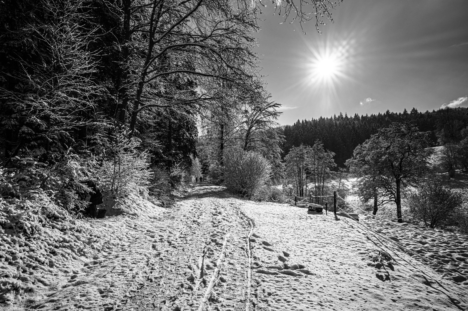 Nochmals winterlicher Schwarzwald