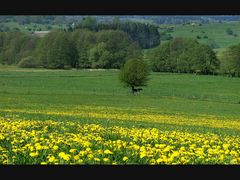 nochmal,sommer im April