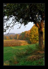 Noch'n Herbstbild