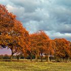 Noch'n Herbstbild