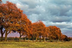 Noch'n Herbstbild