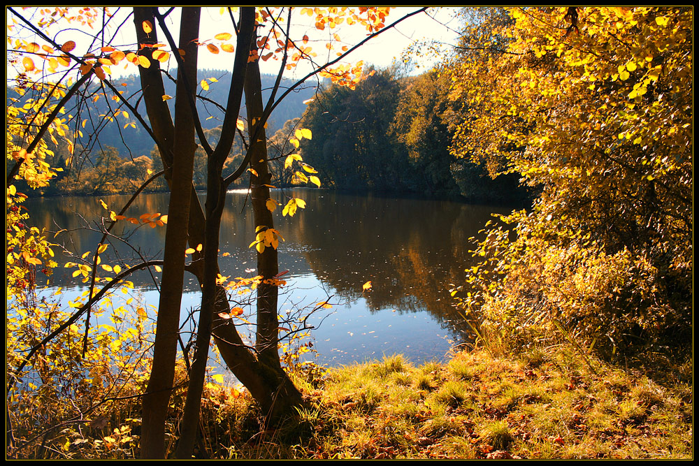 ...noch'n Herbstbild...