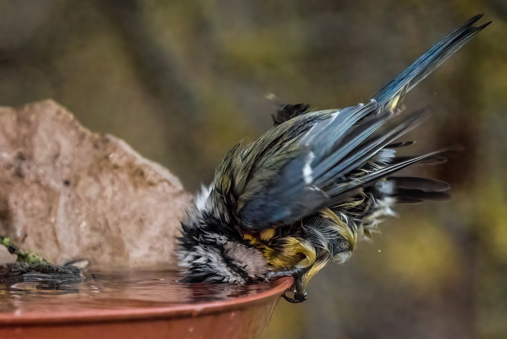 "noch'n Schluck"