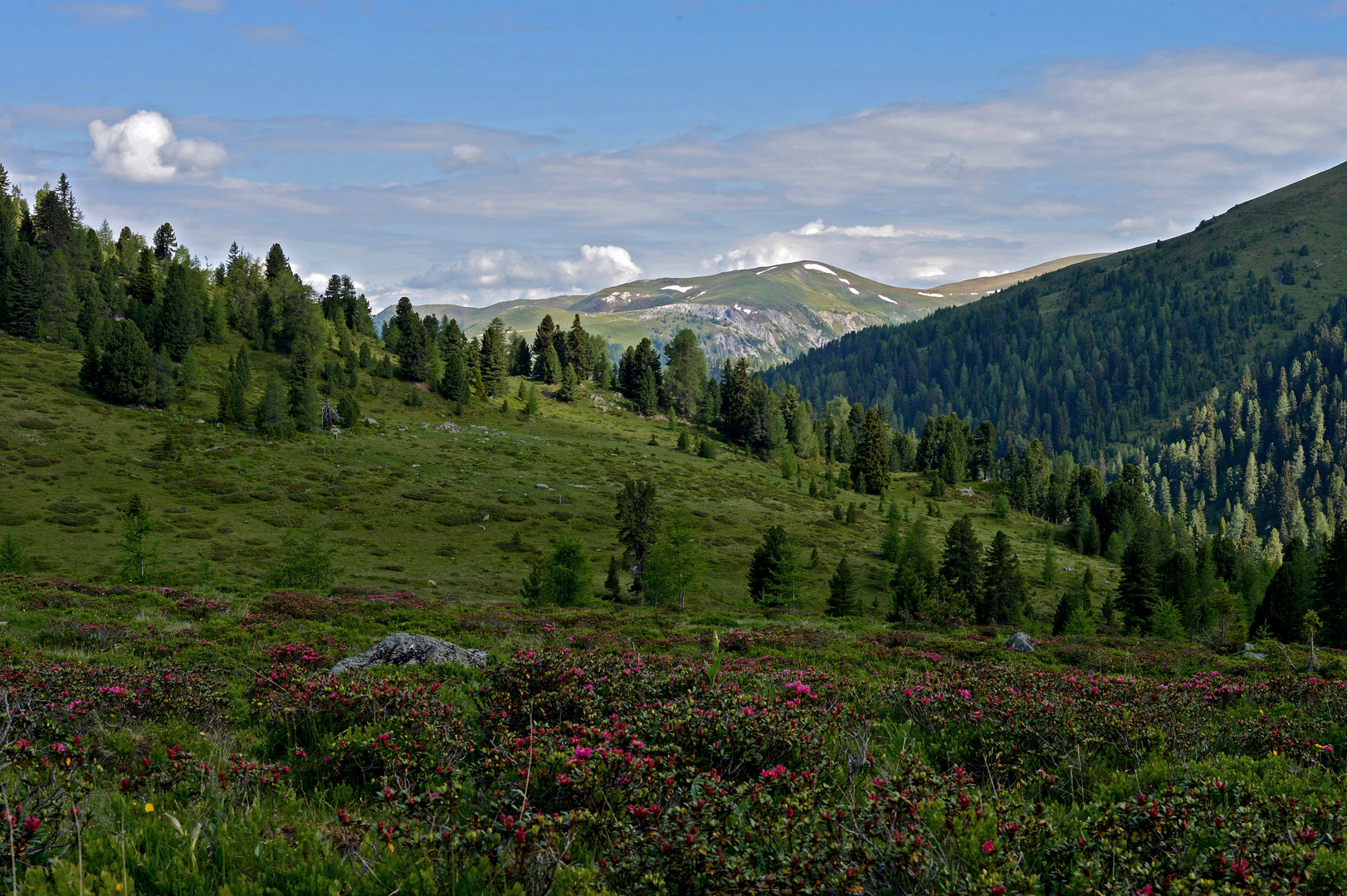 Nockberge