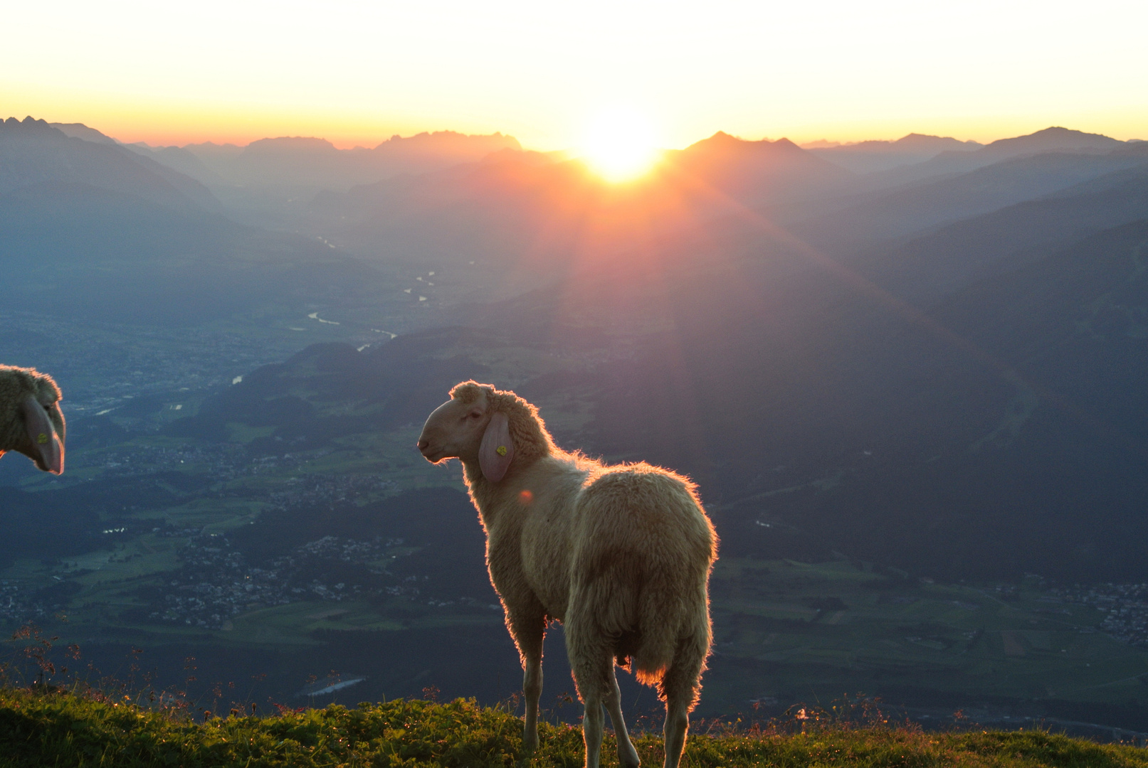 Nockspitze