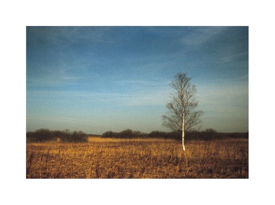 NO.country.for.old.MEN