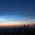 Noctilucent clouds