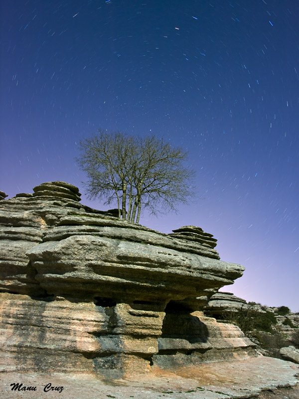 Nocturna , de la Encina del Torcal de Antequera Málaga