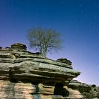 Nocturna , de la Encina del Torcal de Antequera Málaga