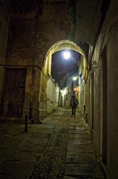 Nocturna del Arco del Portillo