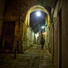 Nocturna del Arco del Portillo