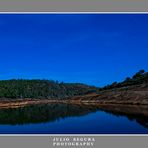 Nocturna Río Tinto 2012 2773