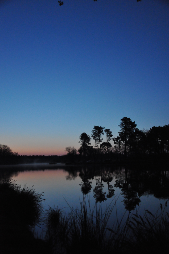 nocturne matinale