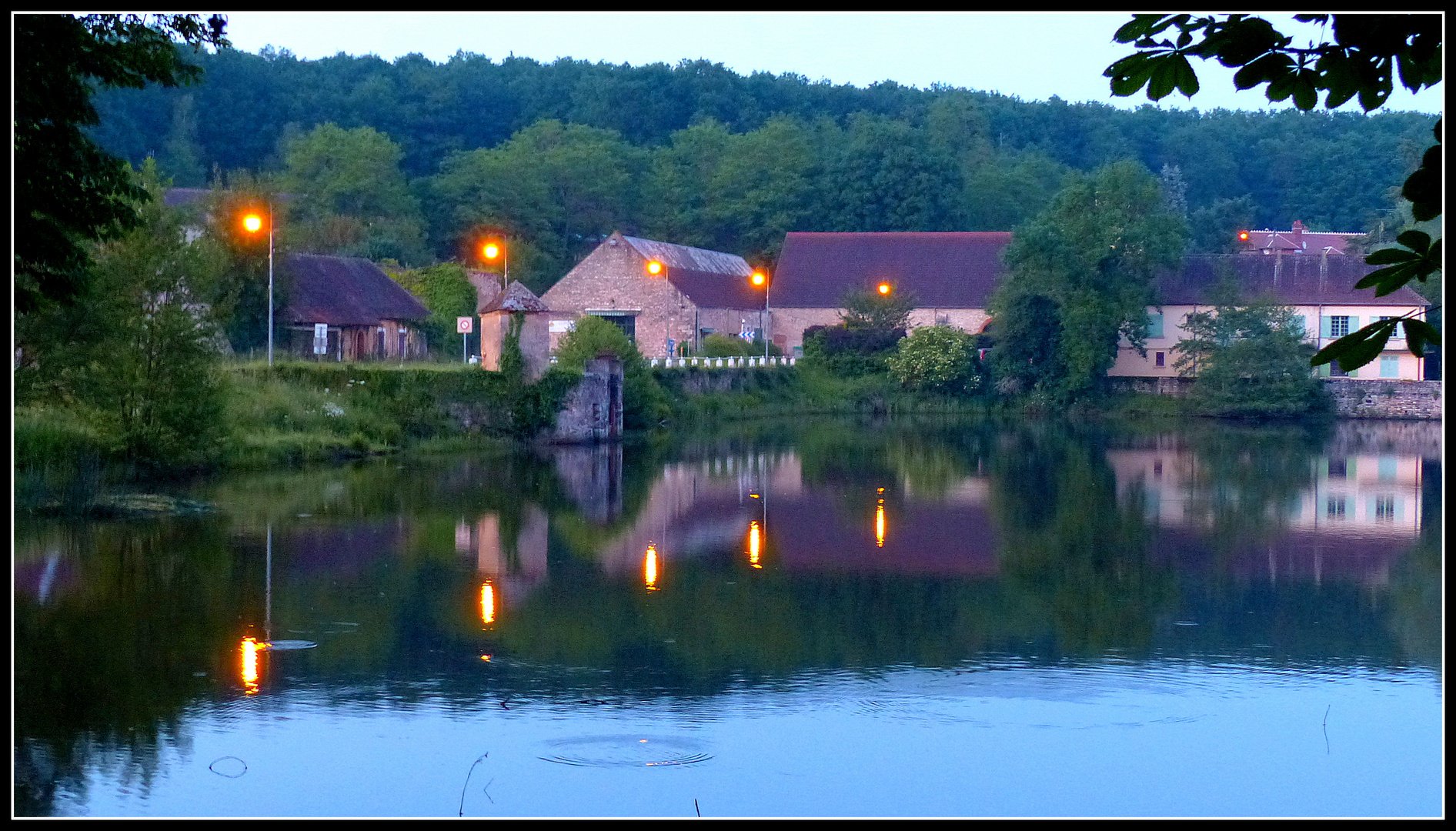 NOCTURNE sur l'Etang de Tronçais . 