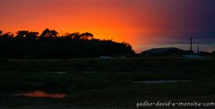 nocturnes en Vendee