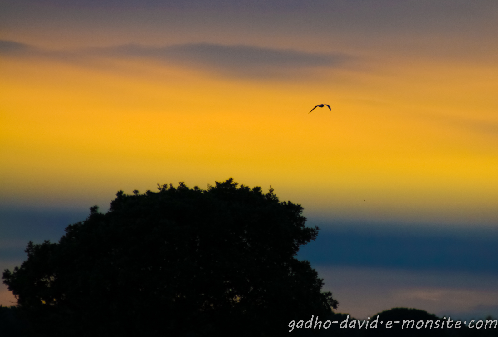 nocturnes en Vendee