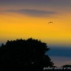 nocturnes en Vendee